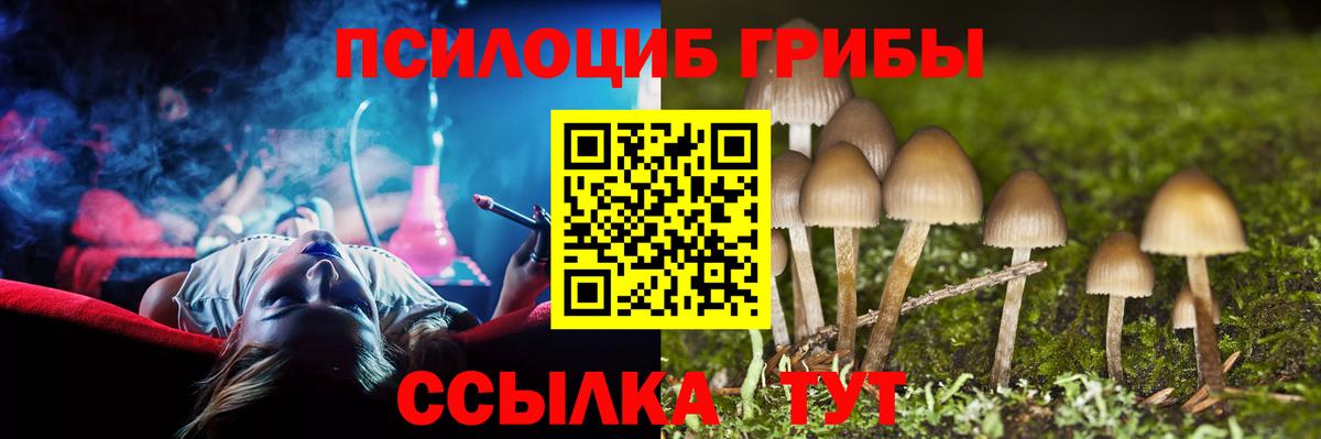 Галлюциногенные грибы прущие грибы Щёлково