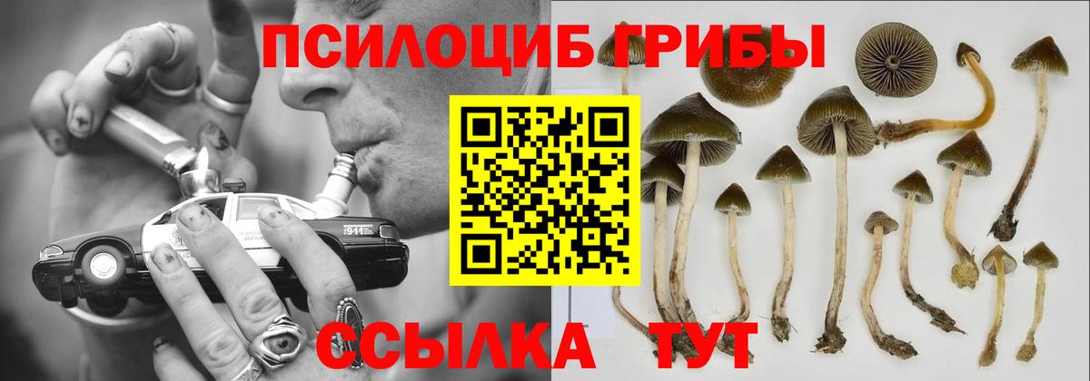 Щёлково  закладка  Вход с VPN  Псилоцибиновые грибы ЛСД 